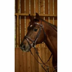 Online Bridon Dy'on working collection muserolle combinée fancy Bridons Et Brides·Bridon Anatomique|Bridons Et Brides·Bridon Cuir