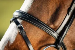 Sale Bridon Elegant Bridons Et Brides·Bridon Cuir