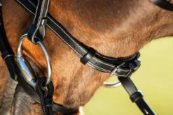 Sale Bridon Elegant Bridons Et Brides·Bridon Cuir