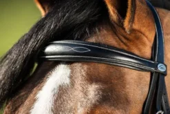 Sale Bridon Elegant Bridons Et Brides·Bridon Cuir