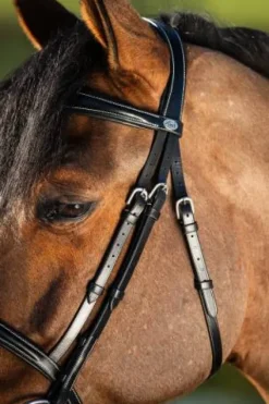 Sale Bridon Elegant Bridons Et Brides·Bridon Cuir