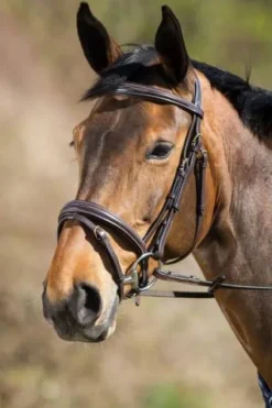 Sale Bridon Elegant Bridons Et Brides·Bridon Cuir