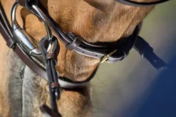 Sale Bridon Elegant Bridons Et Brides·Bridon Cuir