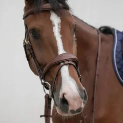 Discount Bridon ergonomique HVM - Confort optimal Bridons Et Brides·Bridon Anatomique