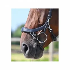 Outlet Bridon Faysport - Bridons Et Brides·Bridon Anatomique|Bridons Et Brides·Bridon Cuir