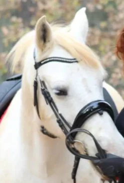 New Bridon filet dressage anatomique muserolle suédois Bridons Et Brides·Bridon Anatomique|Bridons Et Brides·Bridon Cuir