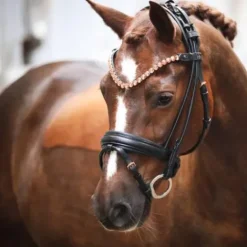 Bridon FLEUR cuir rond - Bridons Et Brides·Bridon Licol|Bridons Et Brides·Bridon Cuir
