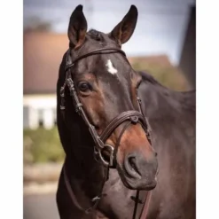 Online Bridon Friday muserolle combinée - Collection week - Bridons Et Brides·Bridon Cuir