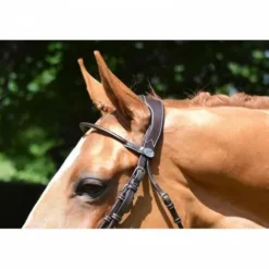 Online Bridon Friday muserolle combinée - Collection week - Bridons Et Brides·Bridon Cuir