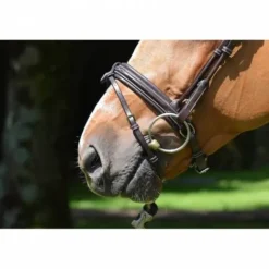 Online Bridon Friday muserolle combinée - Collection week - Bridons Et Brides·Bridon Cuir