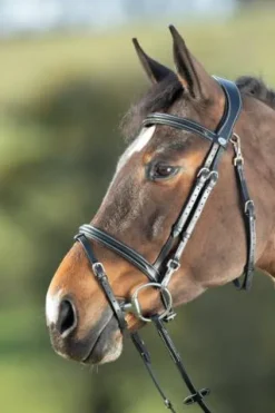 Outlet Bridon Functional Bridons Et Brides·Bridon Cuir