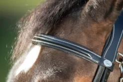 Outlet Bridon Functional Bridons Et Brides·Bridon Cuir