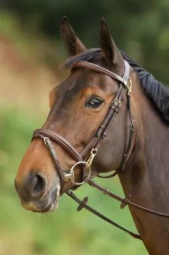 Outlet Bridon Functional Bridons Et Brides·Bridon Cuir