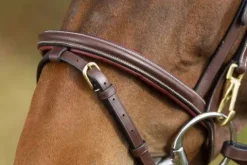 Outlet Bridon Functional Bridons Et Brides·Bridon Cuir