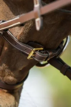 Outlet Bridon Functional Bridons Et Brides·Bridon Cuir
