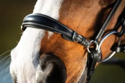 Sale Bridon German muserolle allemande Bridons Et Brides·Bridon Cuir