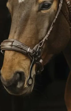 Online Bridon Hackamore Bridons Et Brides·Filet Sans Mors|Bridons Et Brides·Bridon Cuir
