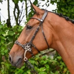 Online Bridon Hackamore - Collection week - Bridons Et Brides·Bridon Licol|Bridons Et Brides·Bridon Cuir