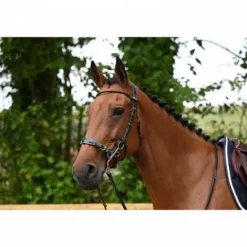 Online Bridon Hackamore - Collection week - Bridons Et Brides·Bridon Licol|Bridons Et Brides·Bridon Cuir