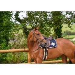 Online Bridon Hackamore - Collection week - Bridons Et Brides·Bridon Licol|Bridons Et Brides·Bridon Cuir