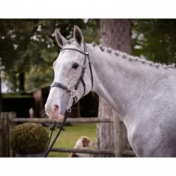 Online Bridon Hackamore - Collection week - Bridons Et Brides·Bridon Licol|Bridons Et Brides·Bridon Cuir