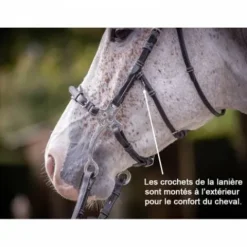 Online Bridon Hackamore - Collection week - Bridons Et Brides·Bridon Licol|Bridons Et Brides·Bridon Cuir