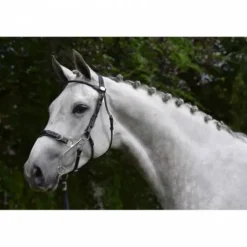 Online Bridon Hackamore - Collection week - Bridons Et Brides·Bridon Licol|Bridons Et Brides·Bridon Cuir