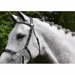 Online Bridon Hackamore - Collection week - Bridons Et Brides·Bridon Licol|Bridons Et Brides·Bridon Cuir