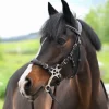 New Bridon Hackamore - Collection One Premium - Jump'In - Cuir italien Mors Et Embouchures
