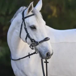 New Bridon Hackamore - Collection One Premium - Jump'In - Cuir italien Mors Et Embouchures