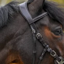 New Bridon Hackamore - Collection One Premium - Jump'In - Cuir italien Mors Et Embouchures