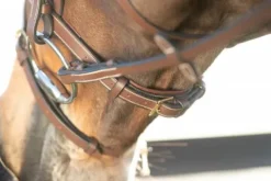 Clearance Bridon   Technical cuir surpiqué Bridons Et Brides·Bridon Cuir