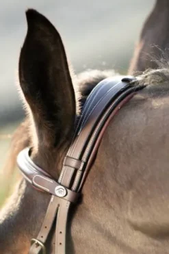 Clearance Bridon   Technical cuir surpiqué Bridons Et Brides·Bridon Cuir