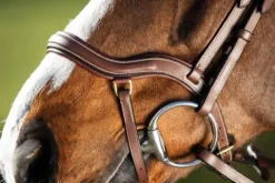 Sale Bridon Techno muserolle anatomique en Y Bridons Et Brides·Bridon Anatomique|Bridons Et Brides·Bridon Cuir