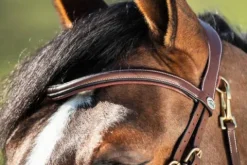 Sale Bridon Techno muserolle anatomique en Y Bridons Et Brides·Bridon Anatomique|Bridons Et Brides·Bridon Cuir