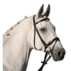 Bridon lifestyle Bridons Et Brides·Bridon Cuir