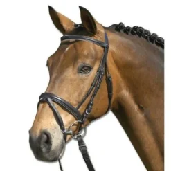 Bridon lifestyle Bridons Et Brides·Bridon Cuir
