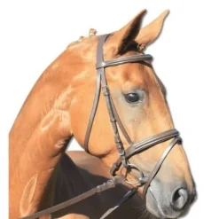 Bridon lifestyle Bridons Et Brides·Bridon Cuir