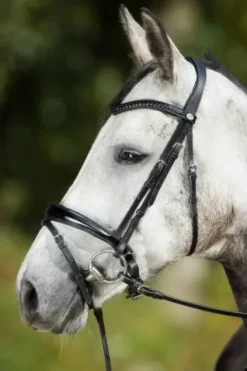 Sale Bridon Luxe Bridons Et Brides·Bridon Cuir