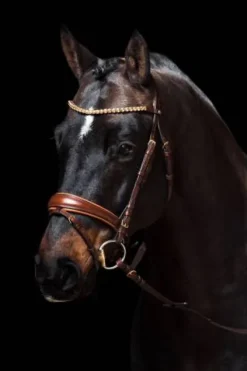 New Bridon Marrakesh - Bridons Et Brides·Bridon Cuir