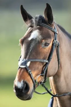 Bridon Mexican Bridons Et Brides·Bridon Cuir