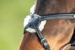 Bridon Mexican Bridons Et Brides·Bridon Cuir