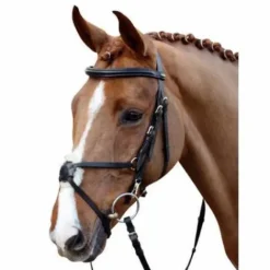 New Bridon Mexican Style renforcé mouton Bridons Et Brides·Bridon Cuir