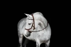 Clearance Bridon Micklem 2 Multi-brides - - Briderie Bridons Et Brides·Bridon Anatomique|Bridons Et Brides·Filet Sans Mors