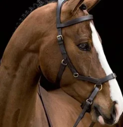 Bridon micklem multi - - évite la pression Bridons Et Brides·Bridon Cuir