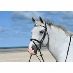 New Bridon Monday muserolle combinée - Collection Week - Bridons Et Brides·Bridon Cuir