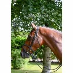 New Bridon Monday muserolle combinée - Collection Week - Bridons Et Brides·Bridon Cuir