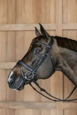 Online Bridon muserolle pull back tressée - Dy'on Bridons Et Brides·Bridon Cuir