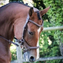 Outlet Bridon New York - Collection One - Jump'in Bridons Et Brides·Bridon Licol|Bridons Et Brides·Bridon Cuir