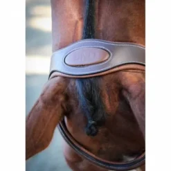 Outlet Bridon New York - Collection One - Jump'in Bridons Et Brides·Bridon Licol|Bridons Et Brides·Bridon Cuir